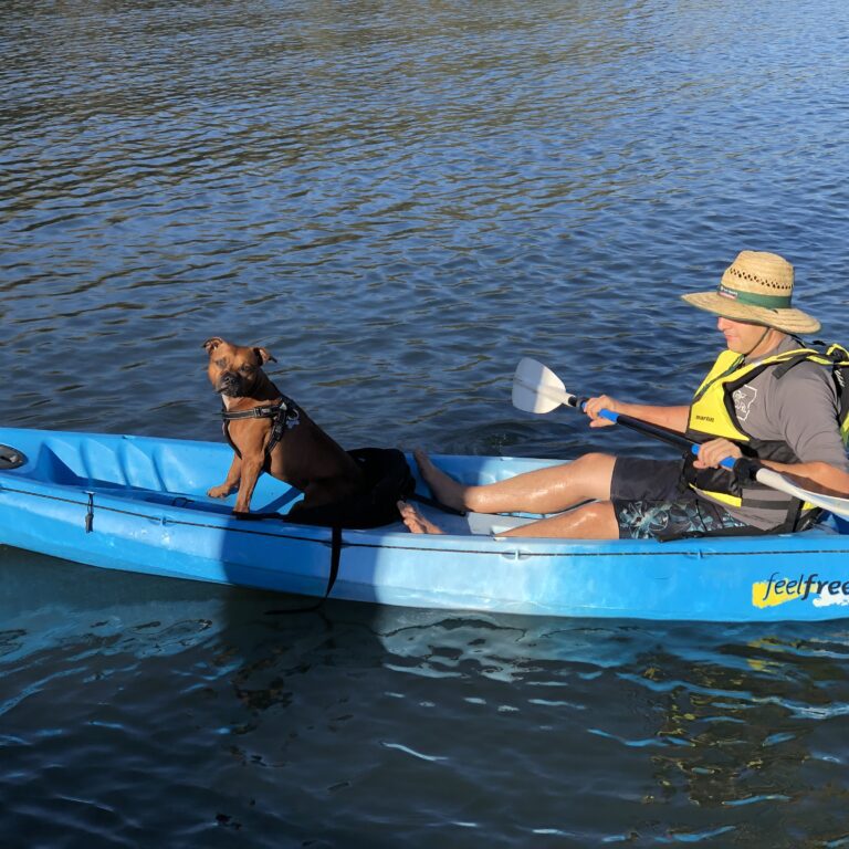 Harry and Cookie kayaking in Wallis Lake front of the Coomba Little Farm.